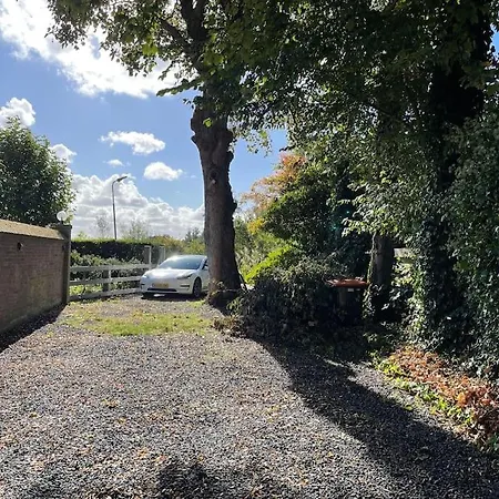 Bergense Duyn By Droomvilla 펜션 *